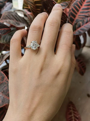 The Katherine pave engagement ring only semi-mount only(Exclusively to DovEggs Stones)